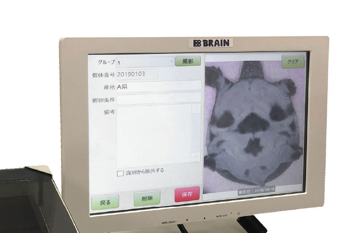 スッポン個体判別システム